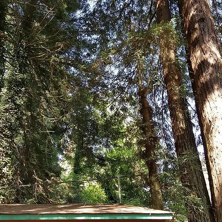 Emerald Forest Cabins Trinidad Esterno foto