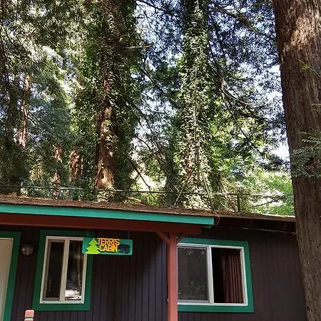 Emerald Forest Cabins Trinidad Esterno foto