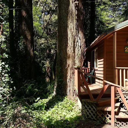 Emerald Forest Cabins Trinidad Esterno foto