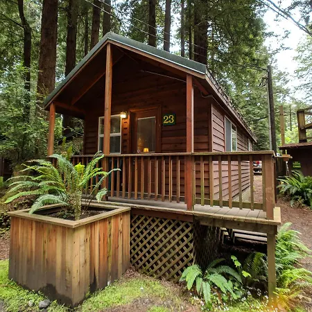 Emerald Forest Cabins Trinidad Esterno foto